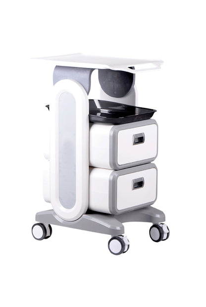 Professional Dental Utility Cart with Wheels | Beauty Medical  Esthetician Clinic Trolley Lab Work Storage Trolley