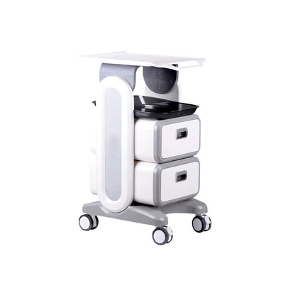 Professional Dental Utility Cart with Wheels | Beauty Medical  Esthetician Clinic Trolley Lab Work Storage Trolley