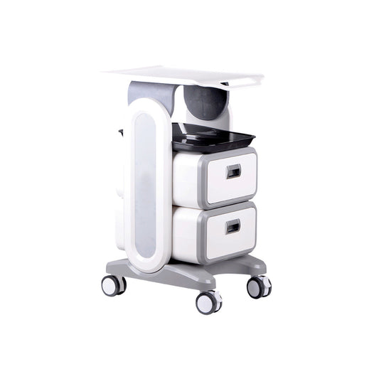 Professional Dental Utility Cart with Wheels | Beauty Medical  Esthetician Clinic Trolley Lab Work Storage Trolley