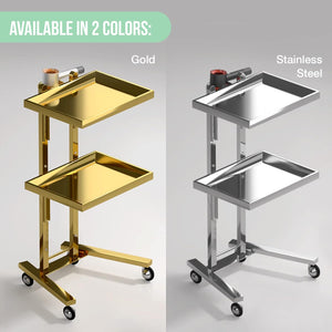 Multipurpose 2-Tray Utility Cart on Wheels - Stainless Steel 2 Level Medical Trolley Cart with Foldable Storage Trays