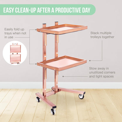 Rose Gold 2-Tier Utility Cart on Wheels