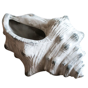 Ceramic Conch Shell Flower Pot | Seashell Planter Plants Décor