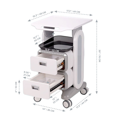 Professional Dental Utility Cart with Wheels | Beauty Medical  Esthetician Clinic Trolley Lab Work Storage Trolley