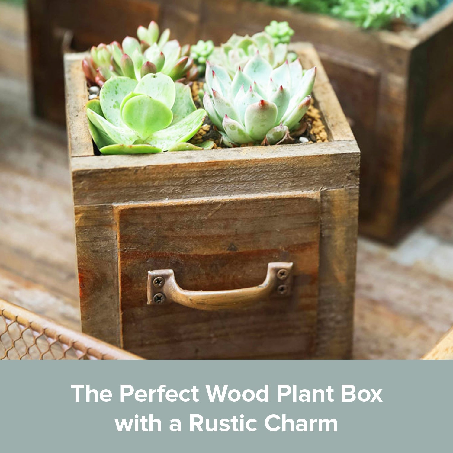 small wooden planter boxes for succulents Country Style Wood Planter Box