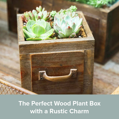 Country Style Wood Planter Box | Decorative Wooden Boxes for Flower Arrangements