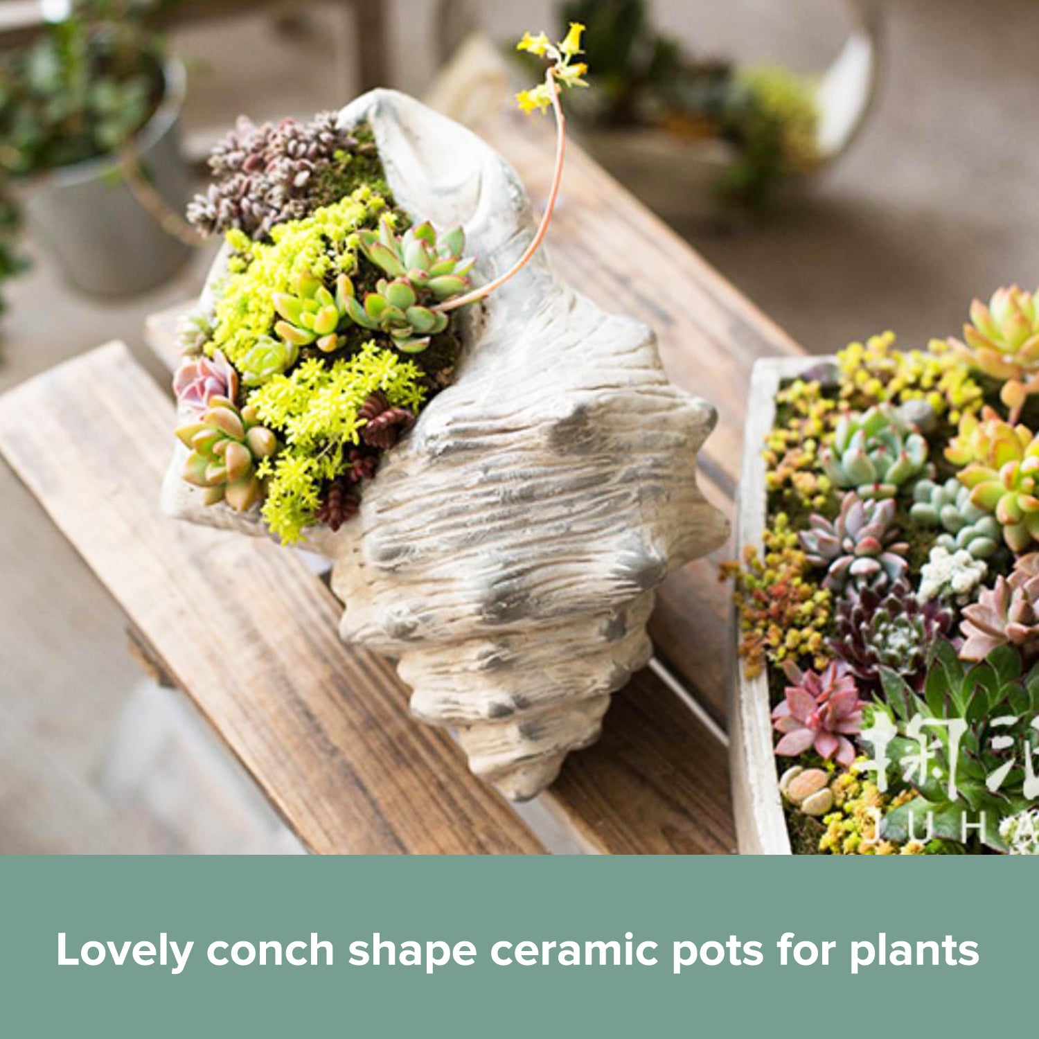 Load image into Gallery viewer, Ceramic Conch Shell Flower Pot | Seashell Planter Plants Décor