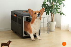 Foldable Dog Travel Crate IATA Collapsible Pet Cage Cat Transport Carrier I Space Saver